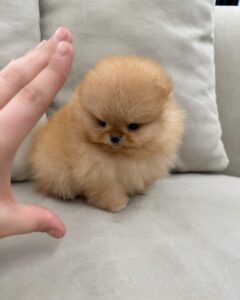 00d62ba2 805f 4d8a abd1 114539ae1f6d