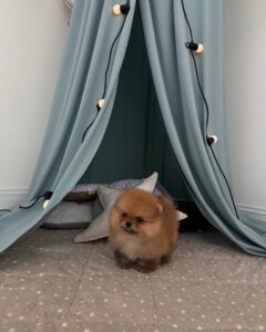 114dabec 27a5 4cdf b35b 9b7bd550d21f