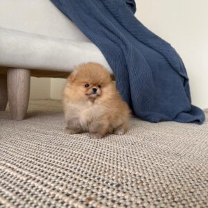 7fd89b2f b6aa 4add 90d0 ae5dcc9bf062