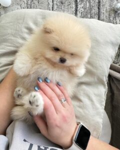 9a54f6c5 e6d3 46f3 948b 0132856d70ee