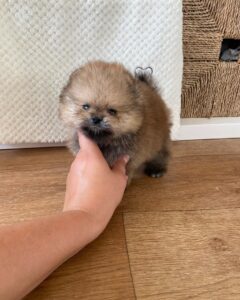 cb985f4b dc21 4ee1 a0dc c1a983ffa955